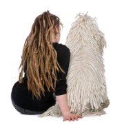 Pets related image